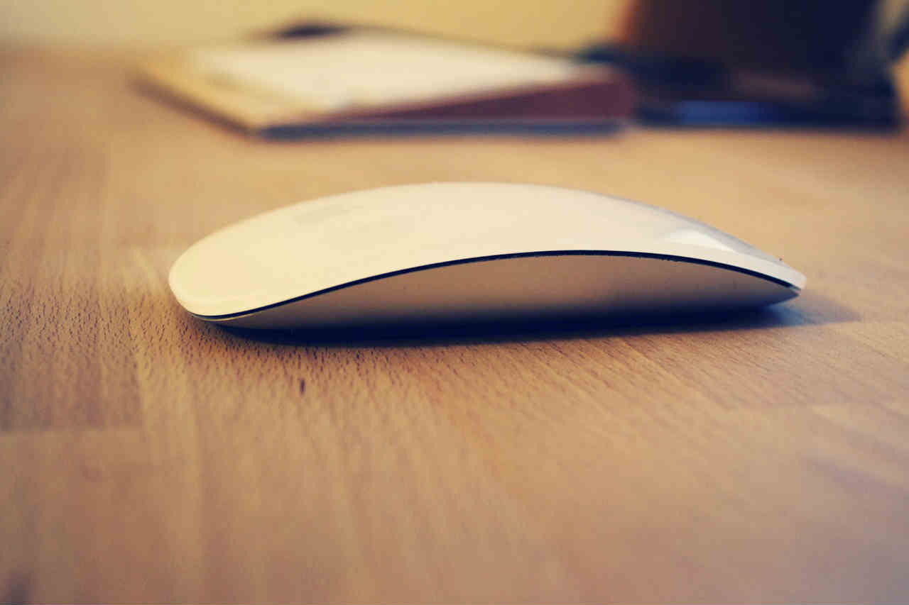 mouse