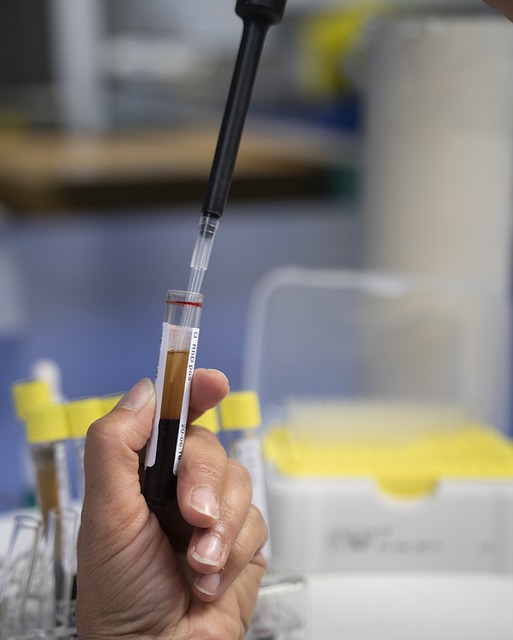 lab