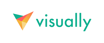 visuall logo