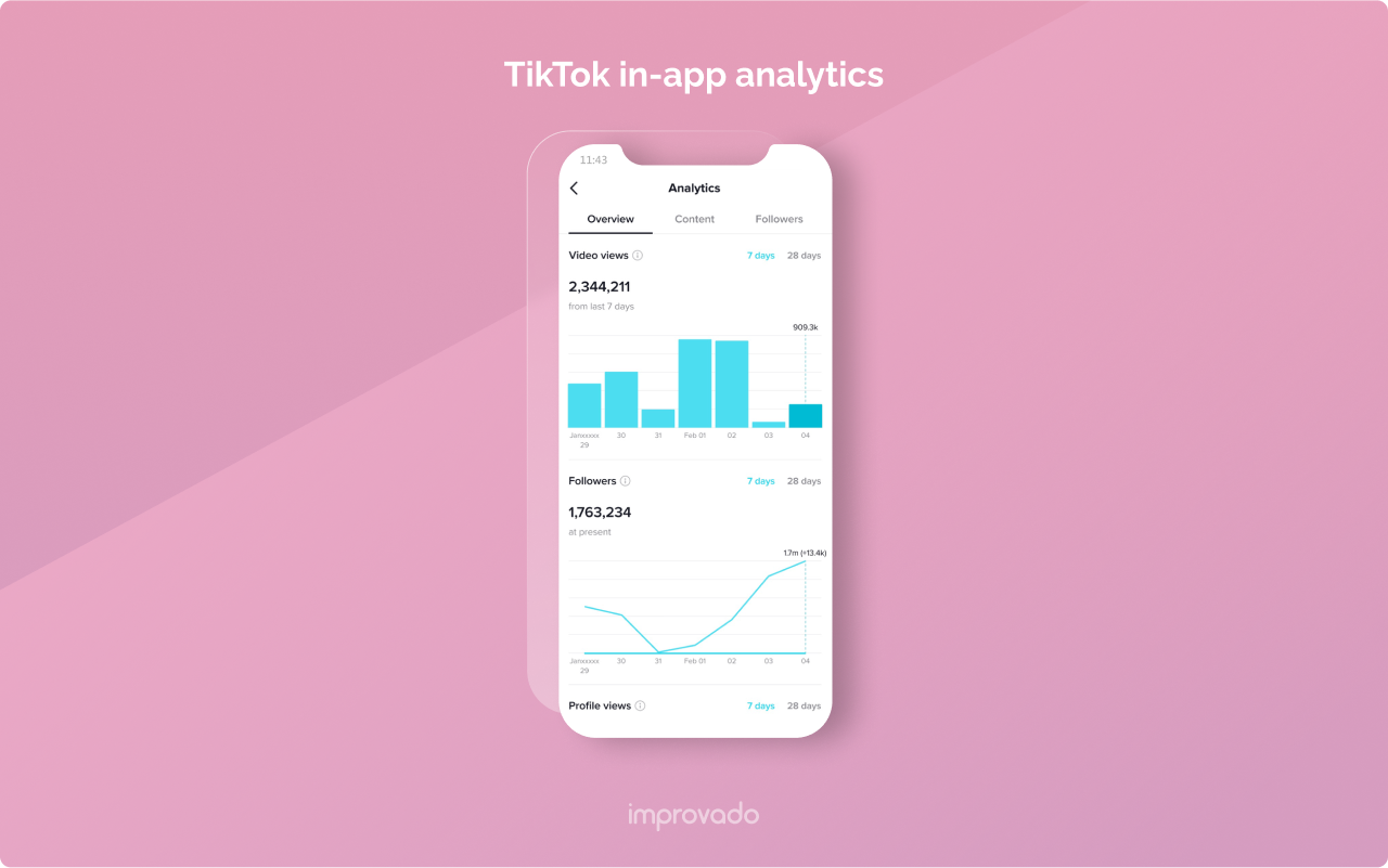 TikTok Ads in-app analytics