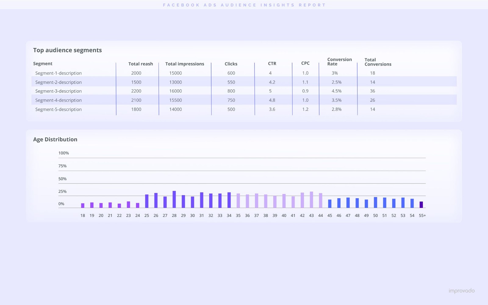 A Facebook Ads Audience Insights reporting template digs into critical information about your audience