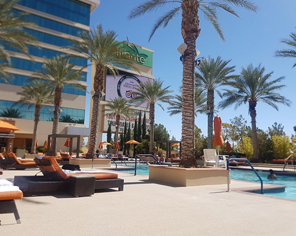 North Las Vegas Neighborhood Guide | Amanda Bolton
