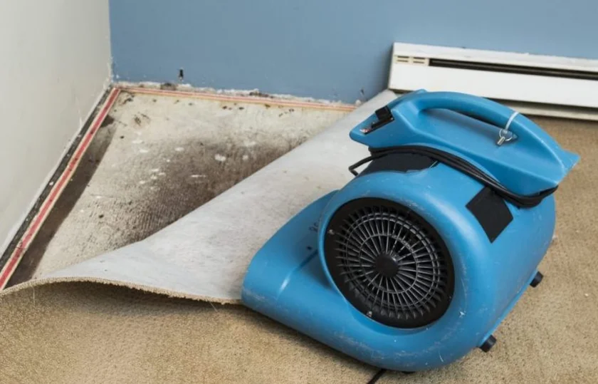 Flood Cleanup 101 Essential Steps and Best Practices