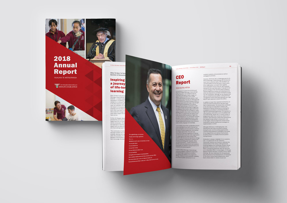 Annual Report & Print Collateral - Pam Cheney