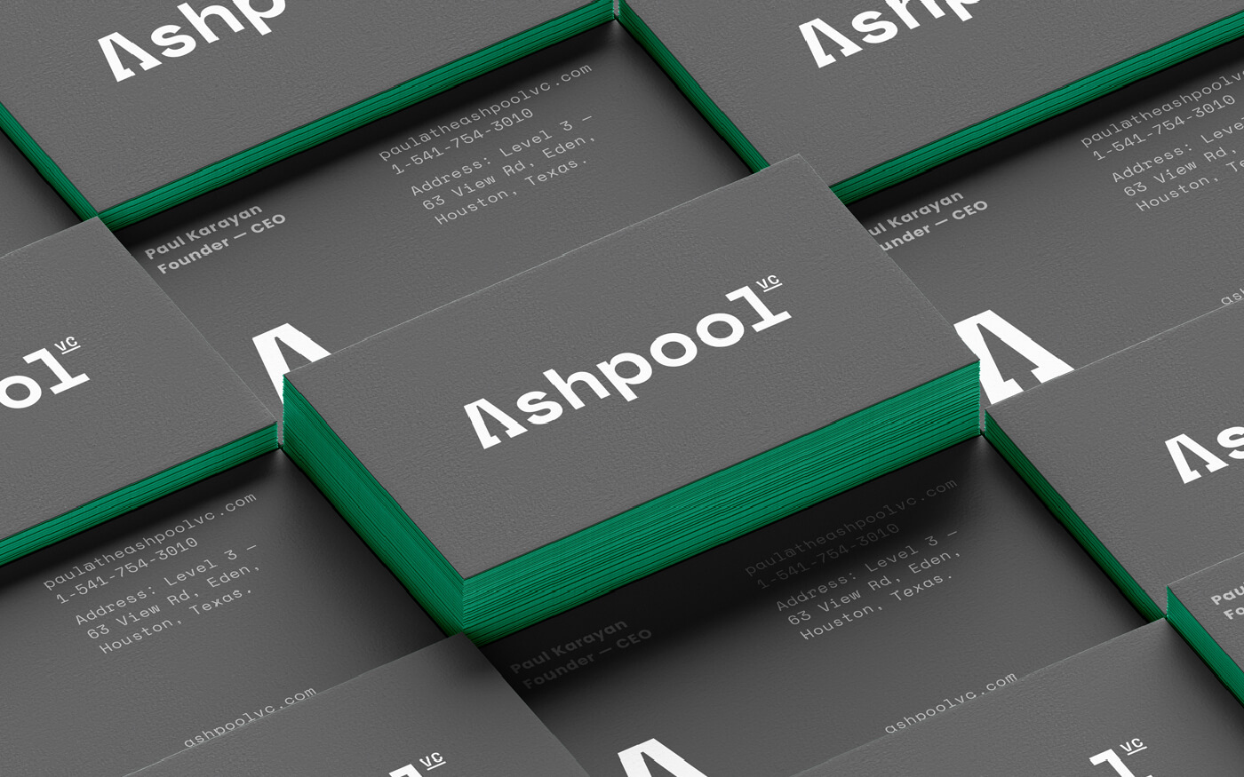 Ashpool Venture Capital - Micheal Hanly