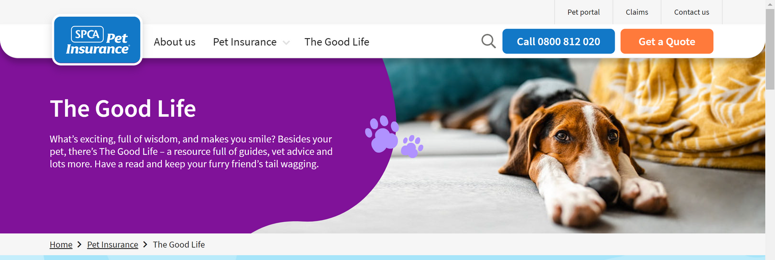 SPCA Pet Insurance - The Good Life - Sophie Herlihy