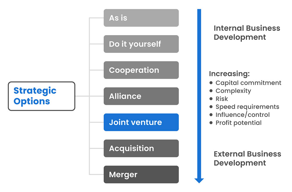 strategic options and the position of joint venture