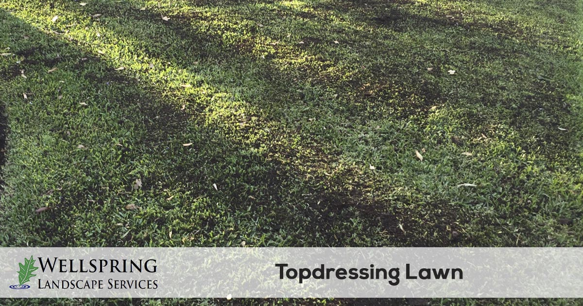 Lawn Top Dressing Service Wellspring Landscape Services