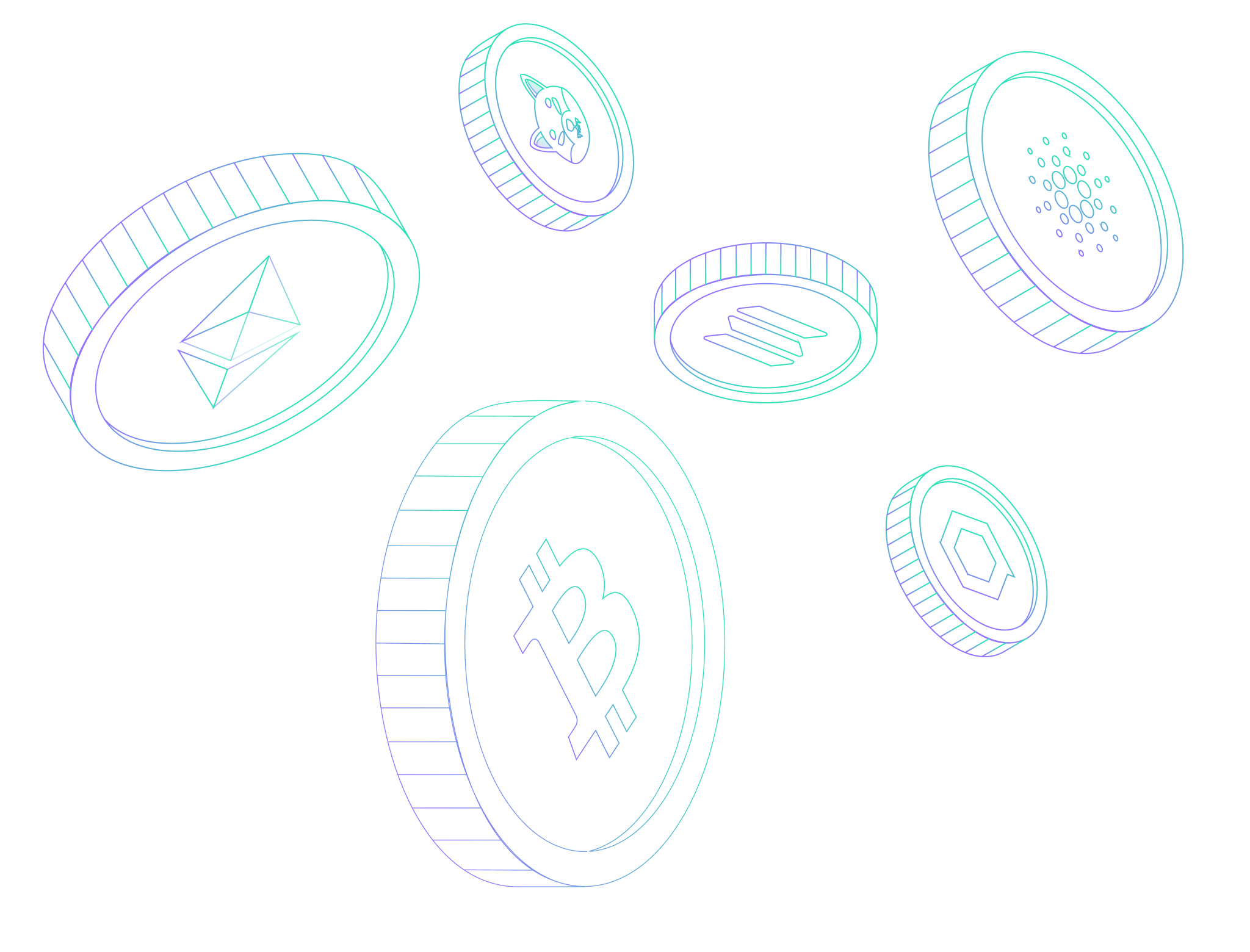 Coin support newton