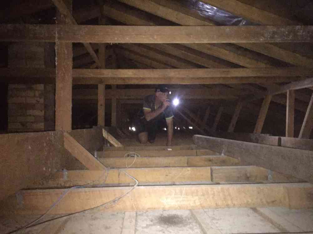 Termite inspection by the staff from Suburban Pest Management