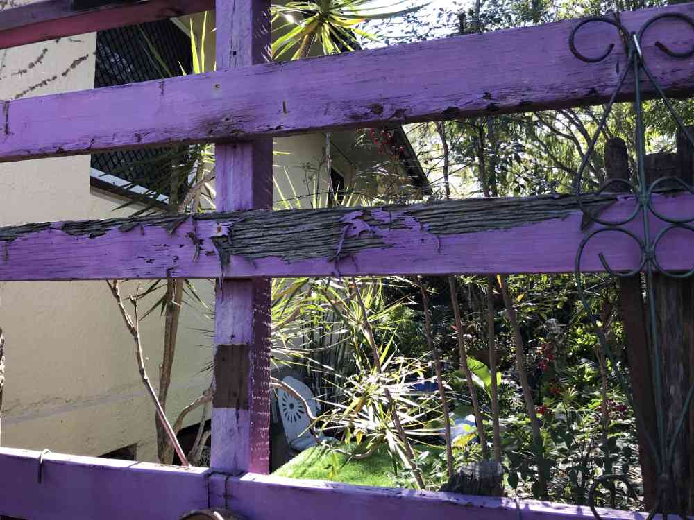 Termite damage to the fence Suburban Pest Management
