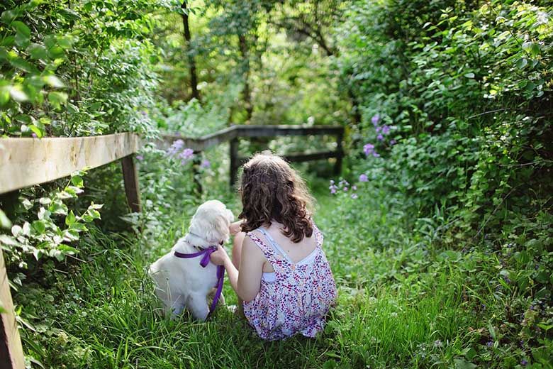 Termite treatment barriers are safe for children and the environment
