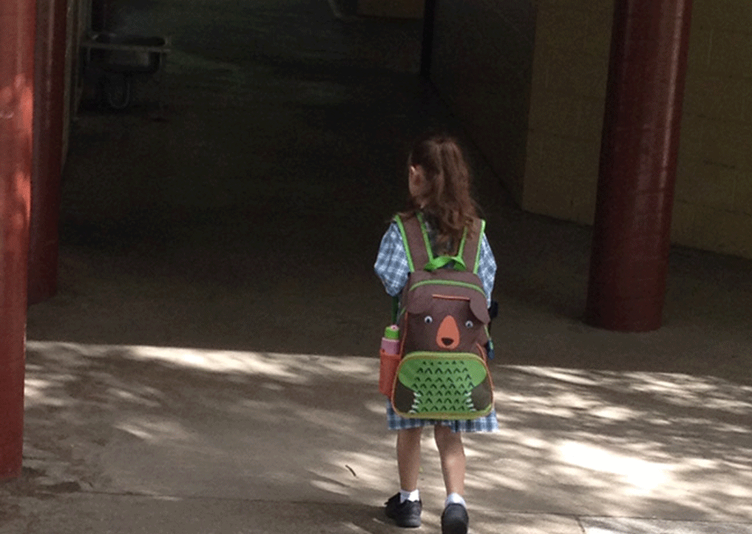 Pest Control for Schools and Academic Institutions