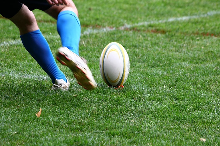 Pest Control for Sports Clubs