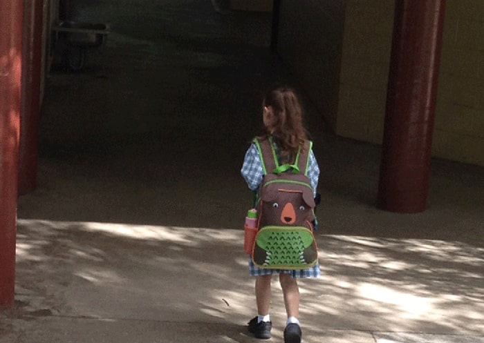 Pest Control for Schools and Academic Institutions