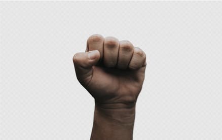+100 Transparent Background Hand PNG Image For Free