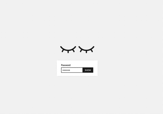 +50 CSS Form Examples And Source Codes - Eggradients.com