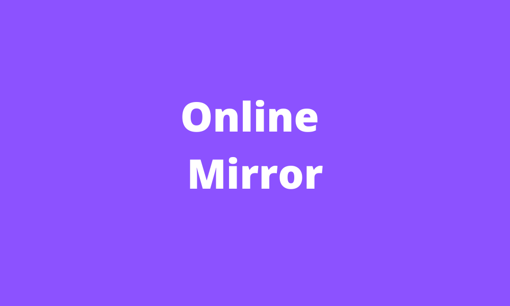 Online Mirror Use Your Cam As A Mirror