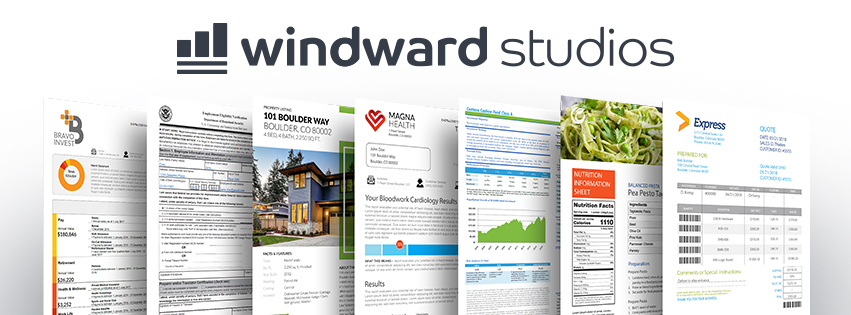Windward Designer In Windward, the Template File is Everything