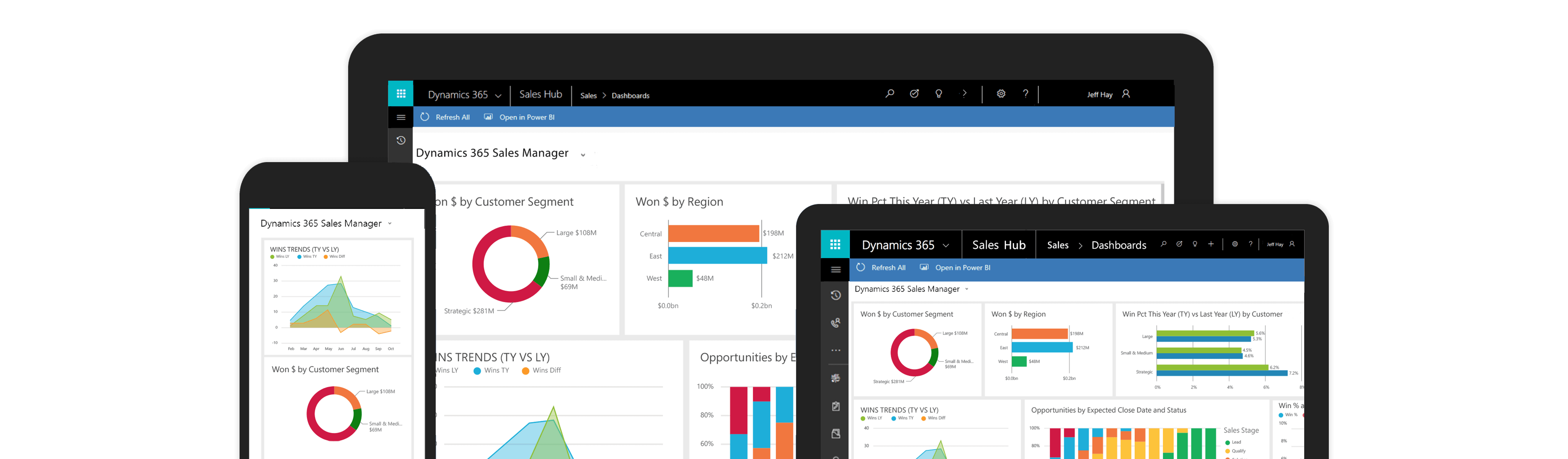 Microsoft Dynamics sales manager dashboard