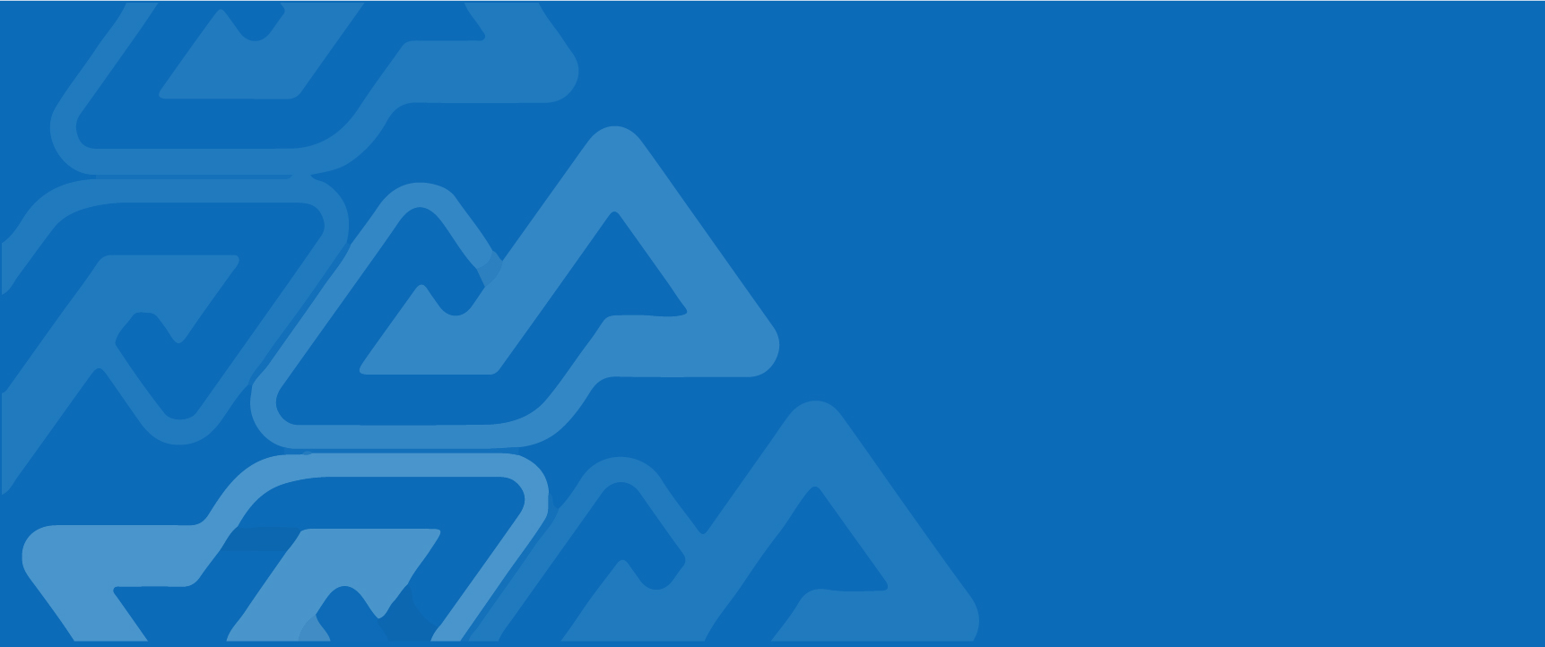 Sales Manager