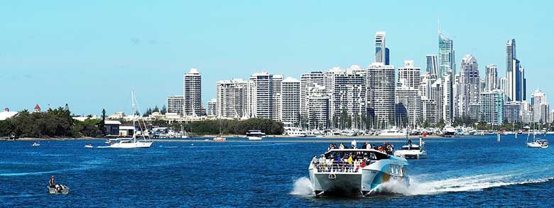 Gold Coast property pest management