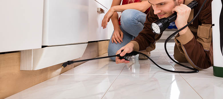 pest inspection at home