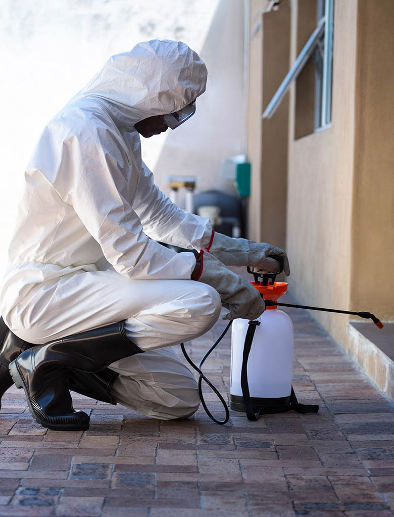 pest inspector in the street