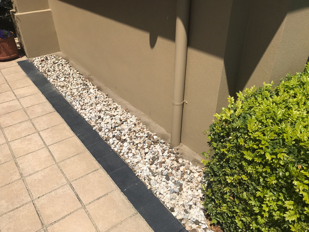 How much does an ant extermination cost?