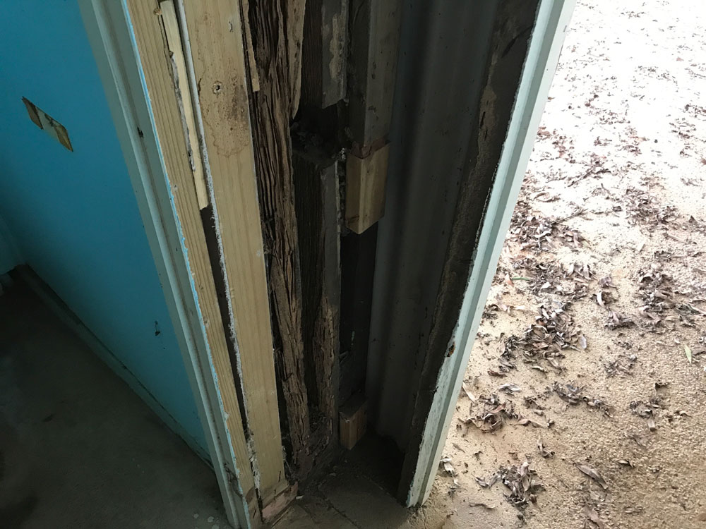 kitchen pest inspection