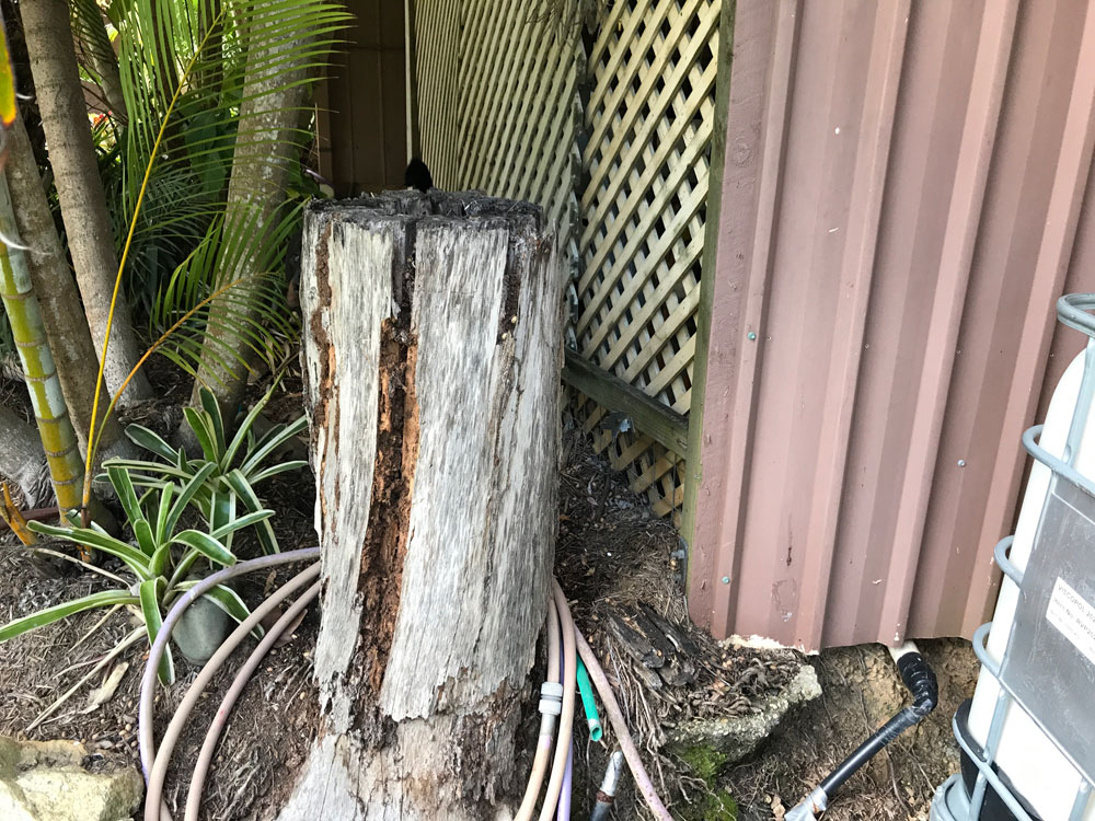 Eco-friendly termite protection