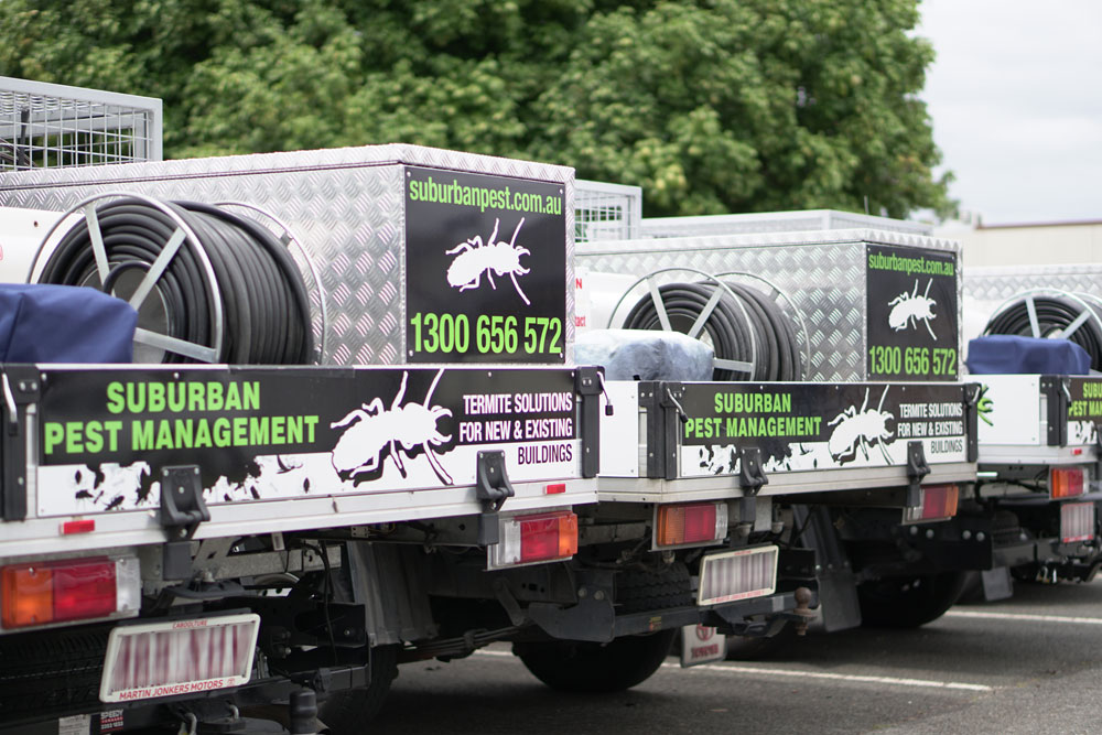 Don’t go cheap on pest control prices