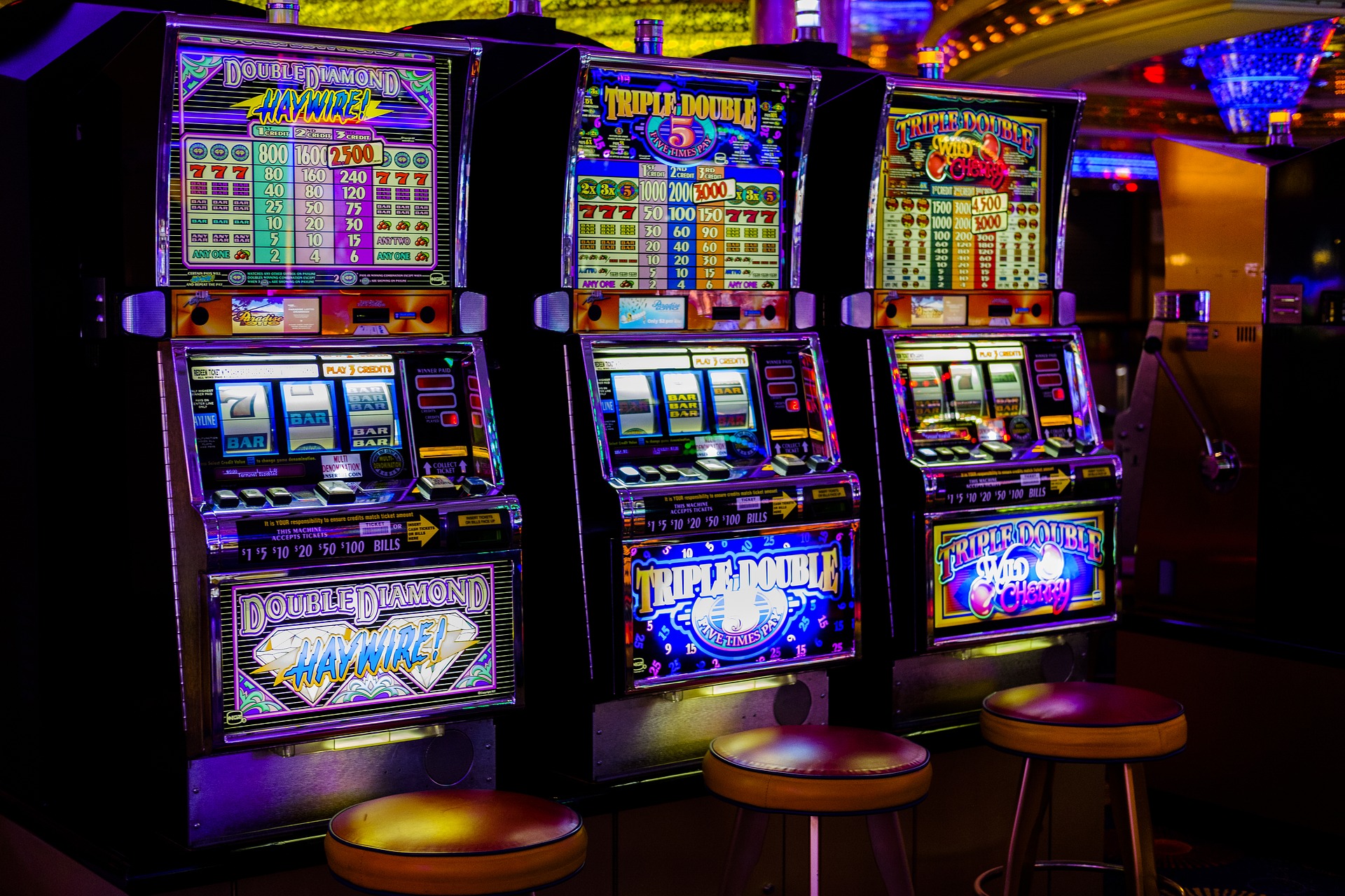 Pest prevention considers food crumbs and spilt drinks around slot machines in sporting clubs which may attract pests