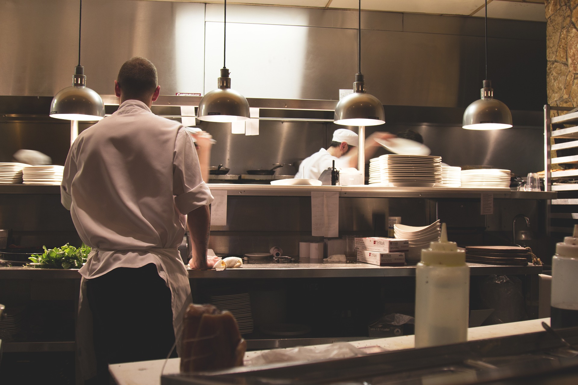 Best pest control assesses all areas of a sports club including kitchens