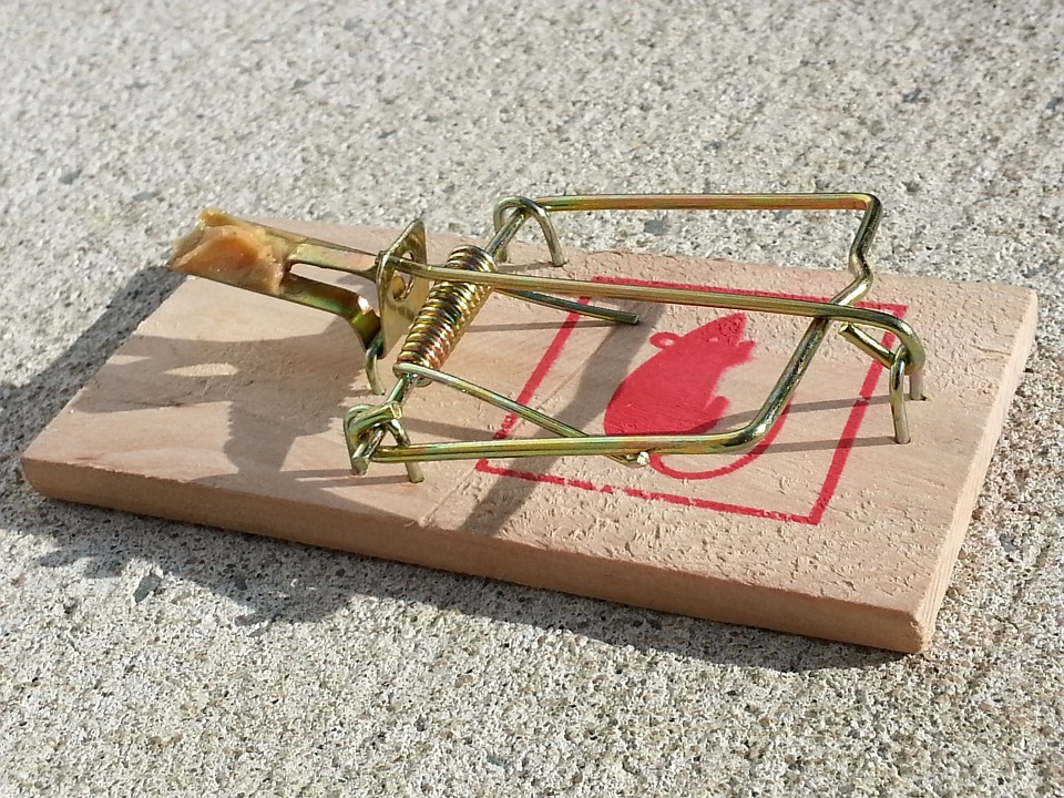 When mouse traps, like this wooden spring-loaded trap with bait, fails call in rodent pest control services