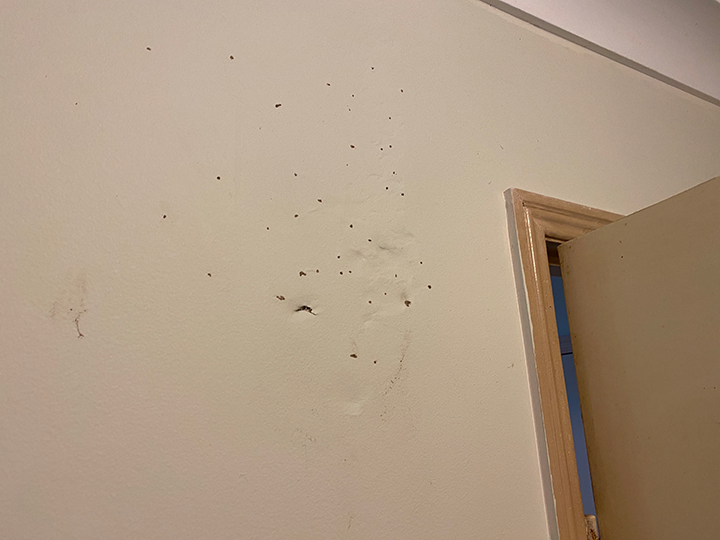 Mudding on the walls due to termite activity in a Brisbane home