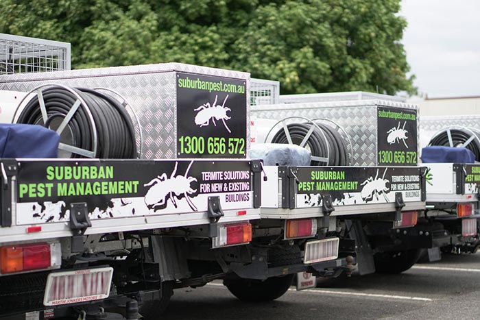 Suburban Pest Management utility vehicles used for transportation