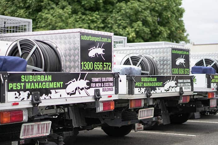 Ready To Call Murrumba Downs Pest Control? We recommend you have at least an annual inspection for pest control. As a local business established in Caboolture since 1994, we know Murrumba Downs and the surrounding Moreton Bay Region. Whether you’re buying, building or have an existing home or business property get it treated regularly for pests. It’s better to do pest control now than to wait until you have an infestation. Call us today on 1300 65 65 72 or get a free online quote.