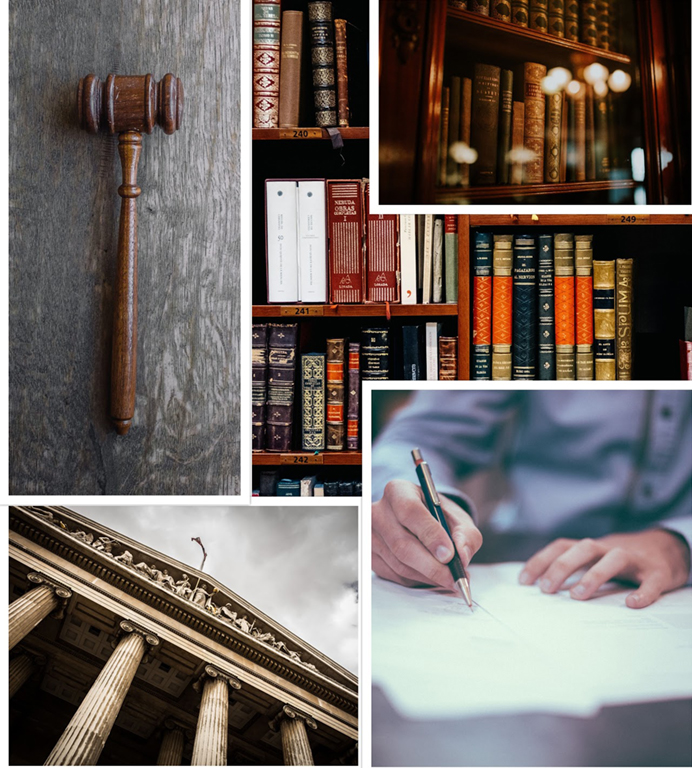 Ergeon What You Need to Know About Fence Height