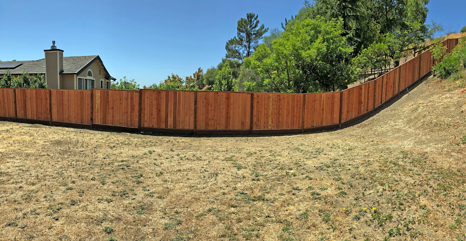 Ergeon What to Know About North Texas Fence Laws and Regulations