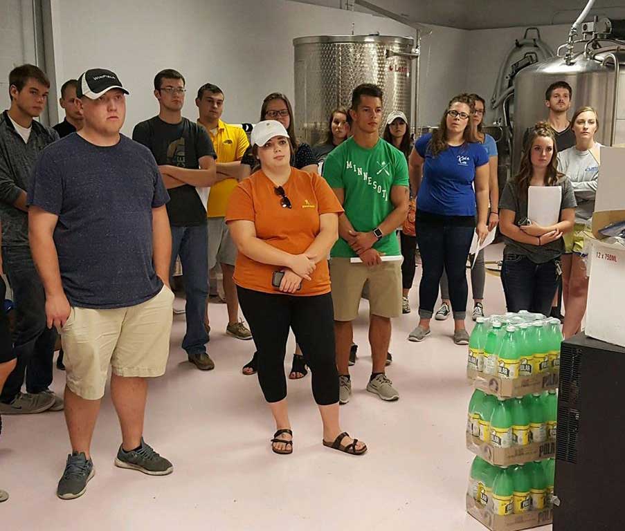 Homemade Wine Wine Making Process Prairie Rose Meadery Fargo ND