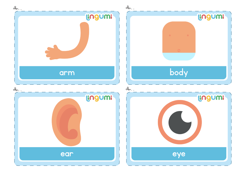 Printable Flashcards Body Parts For Kids