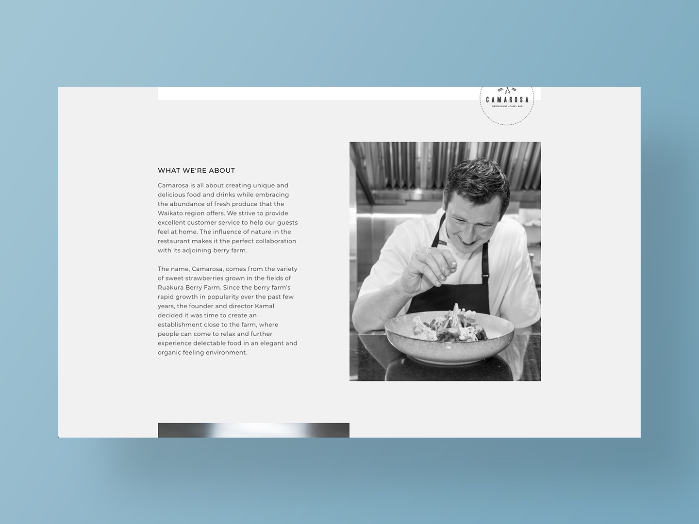 Website Design by Neon Hive