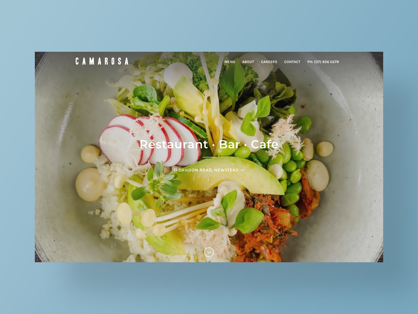 Website Design Hamilton