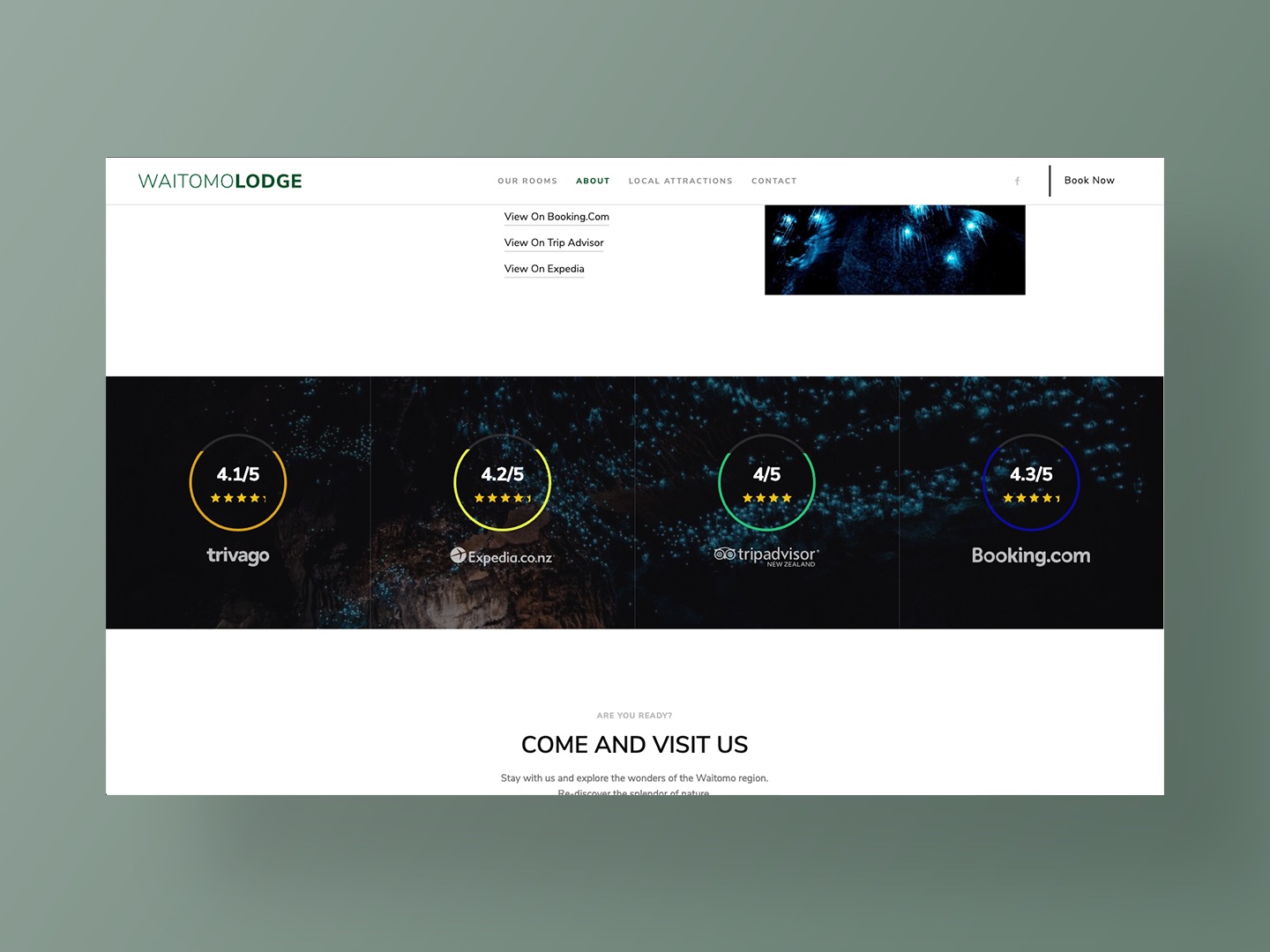 Website Design by Neon Hive