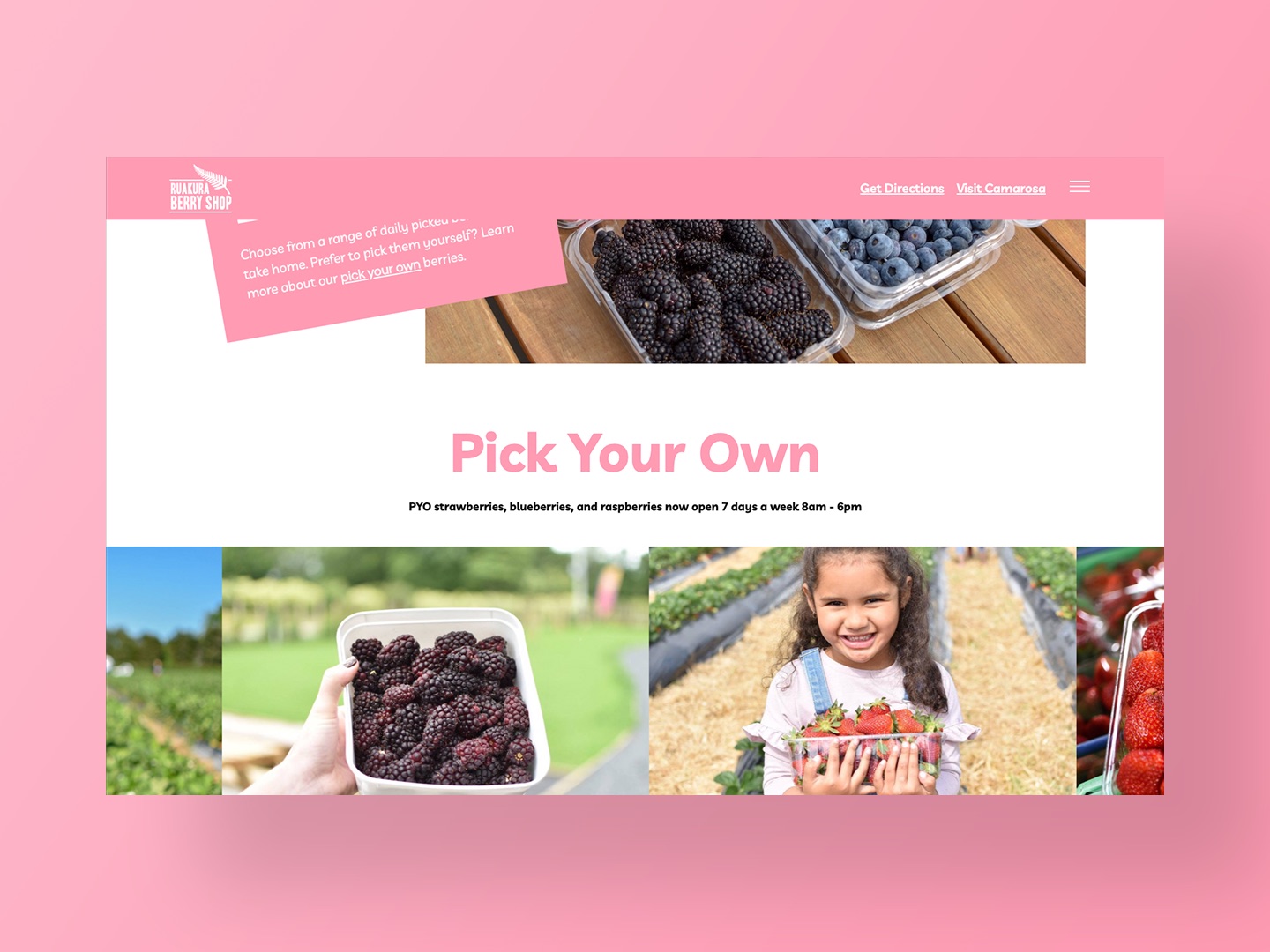 Ruakura Berry Shop Website Design by Neon Hive