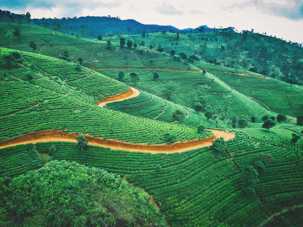 Woman in swimsuit on a swing in tropical location.