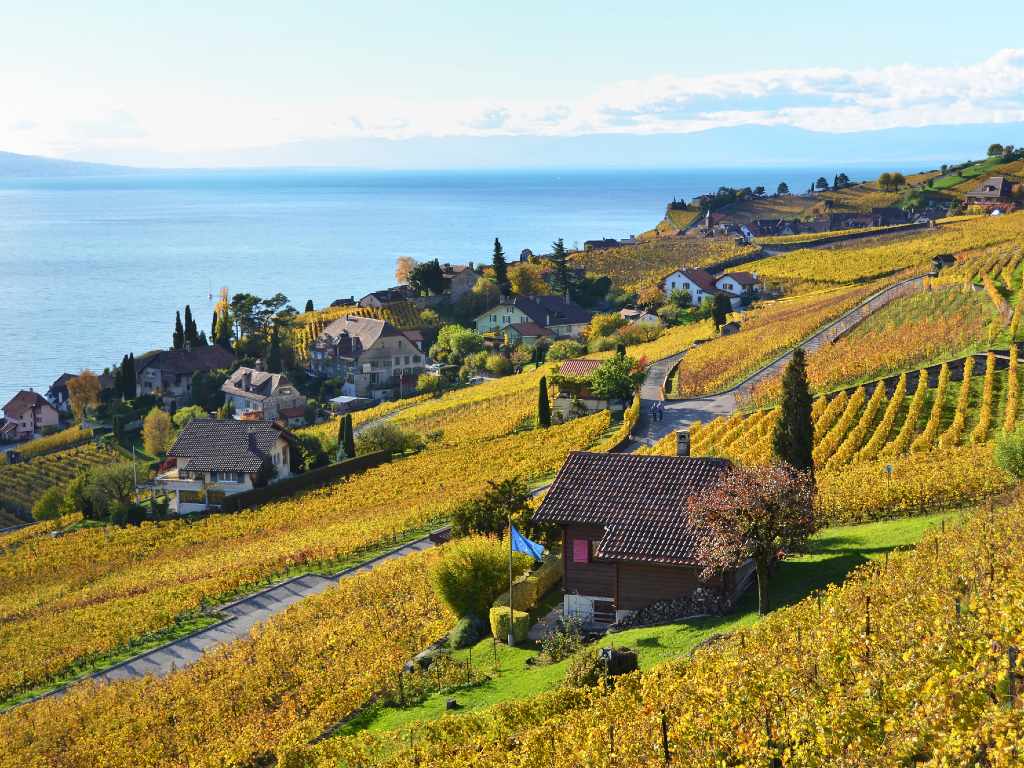 Vignobles de Lavaux en automne