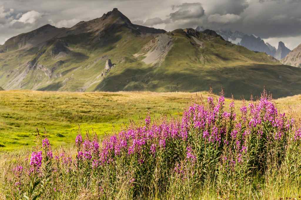 Iceland landscape