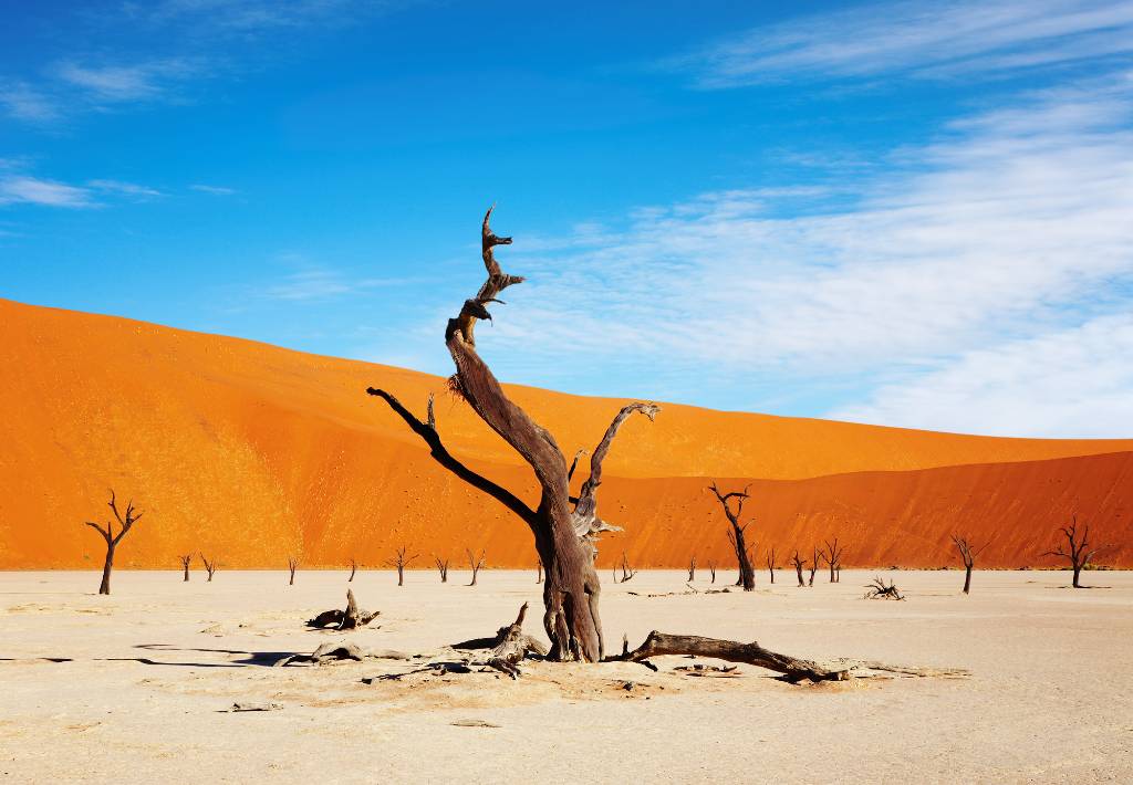 Namib Desert
